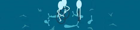 vectorpark.gif