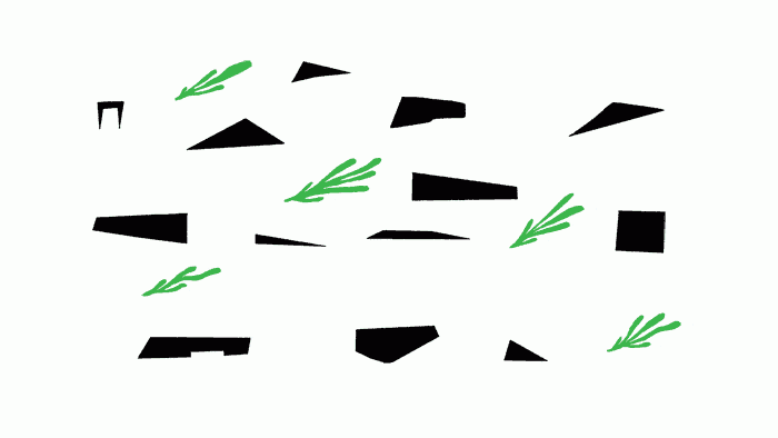 matisse1