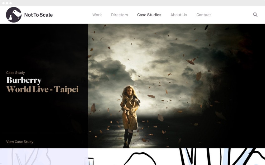 Screen grab of the Case Studies page