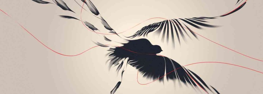 Styleframe from MOME 220 Design for Motion 2015 by Trish Janovic