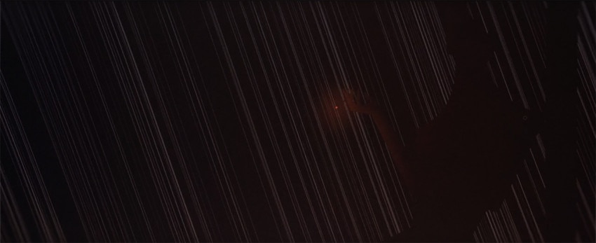 darling_0000_Layer 9
