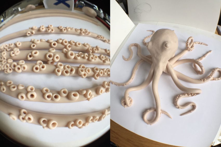 octopus