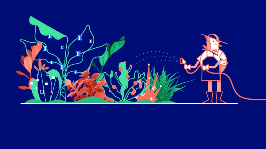 12_grow