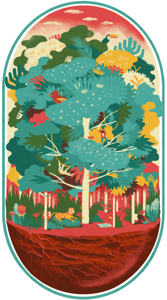 jungle_568px